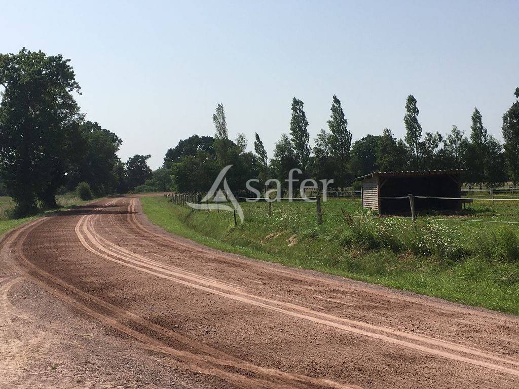Equestrian property  Calvados