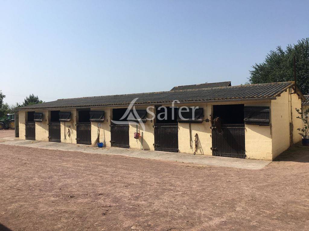 Equestrian property  Calvados