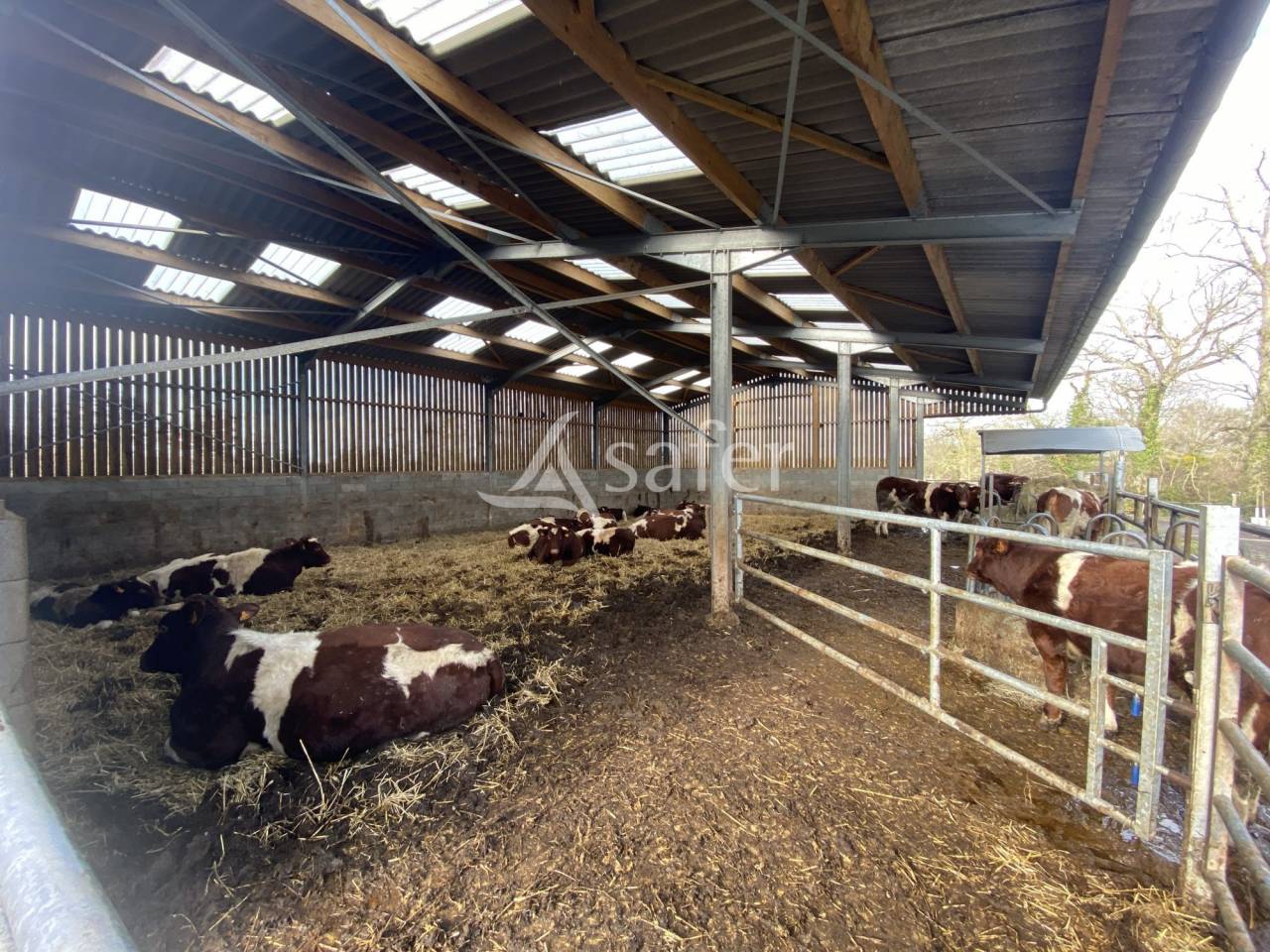 Equestrian property  Calvados