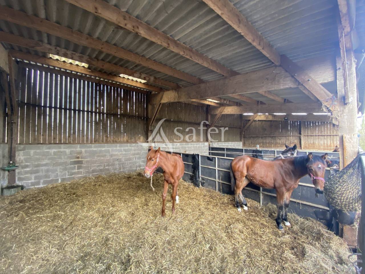 Equestrian property  Calvados