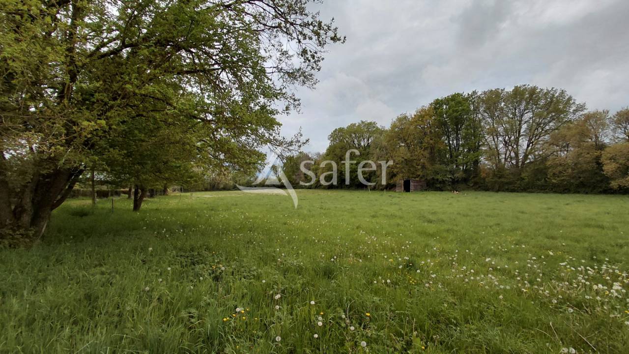Equestrian property  Deux-S&egrave;vres