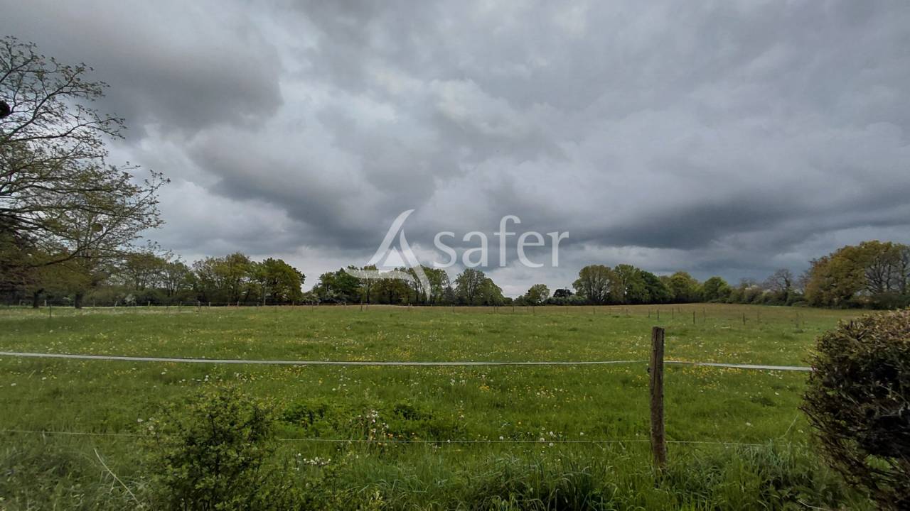 Equestrian property  Deux-S&egrave;vres