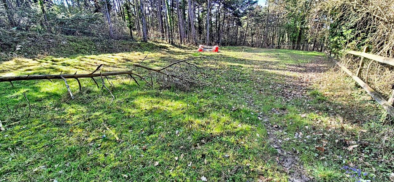 Equestrian property  Essonne