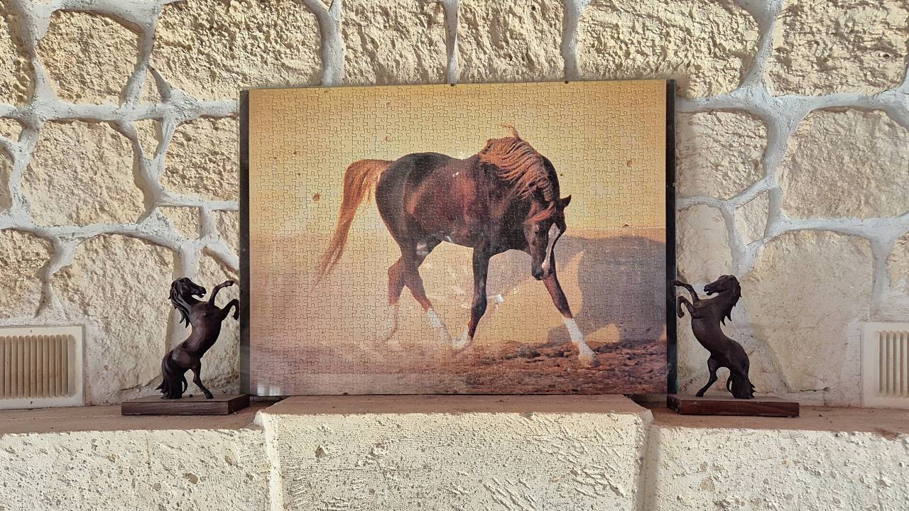 Equestrian property  Essonne