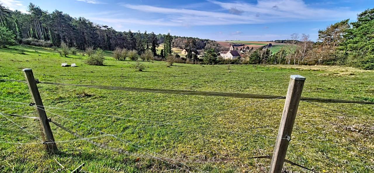 Equestrian property  Essonne