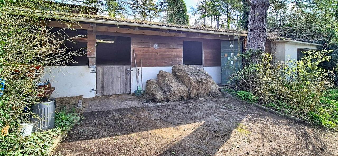 Equestrian property  Essonne