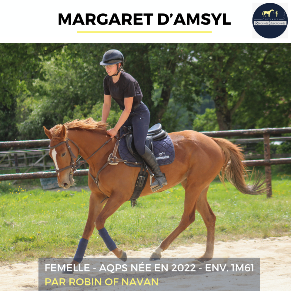 Mare AQPS For sale 2022 Chesnut