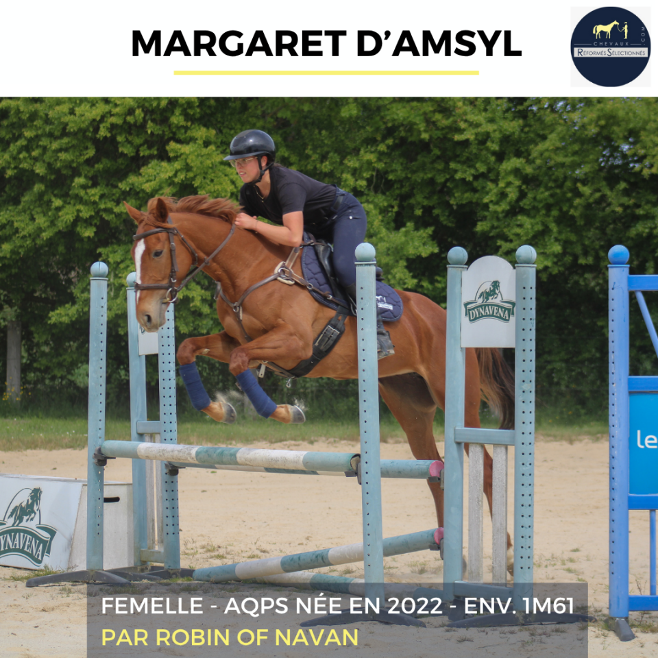 Mare AQPS For sale 2022 Chesnut