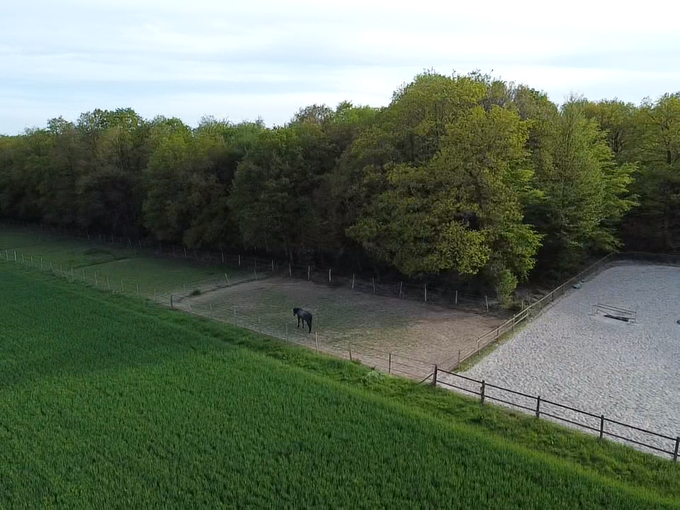Equestrian property  Eure