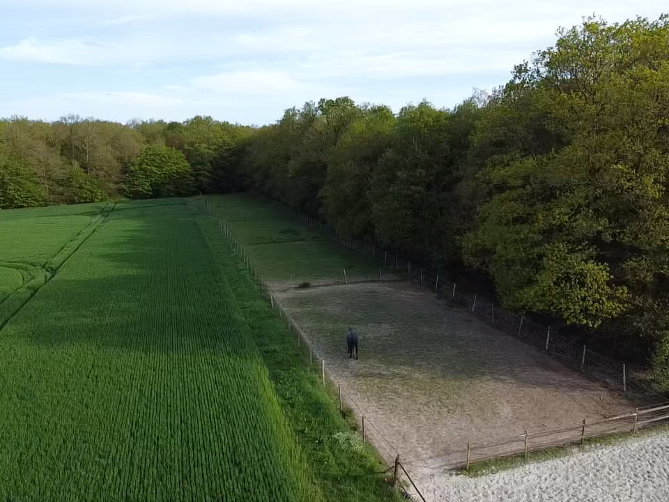 Equestrian property  Eure