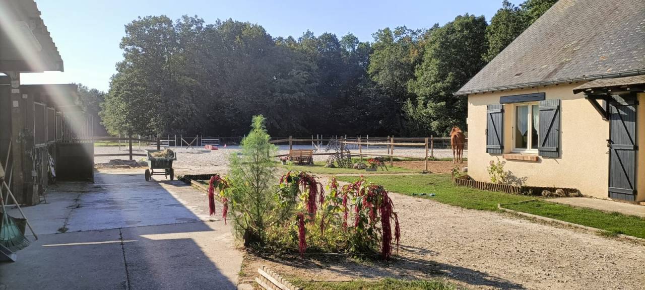 Equestrian property  Eure