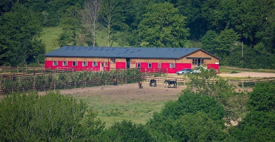Stud farm  Orne