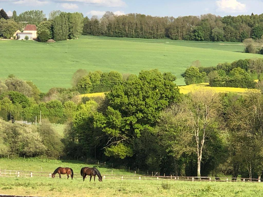 Stud farm  Orne