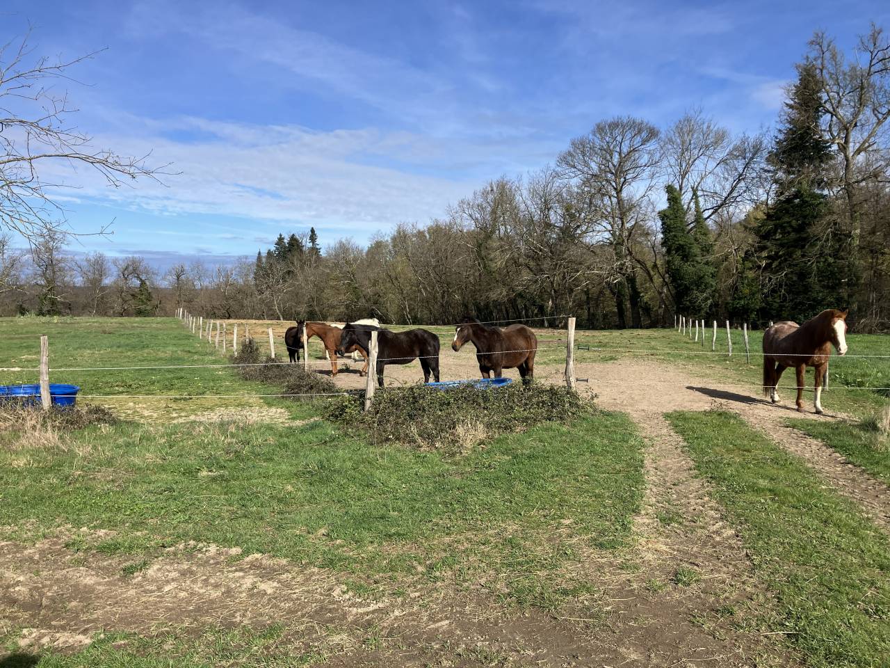 Riding school  Puy-de-D&ocirc;me