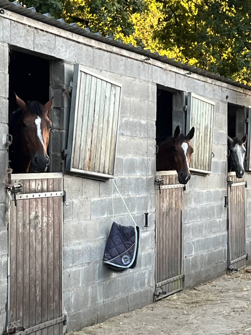 Apprentice - Apprentice Half time - Calvados France