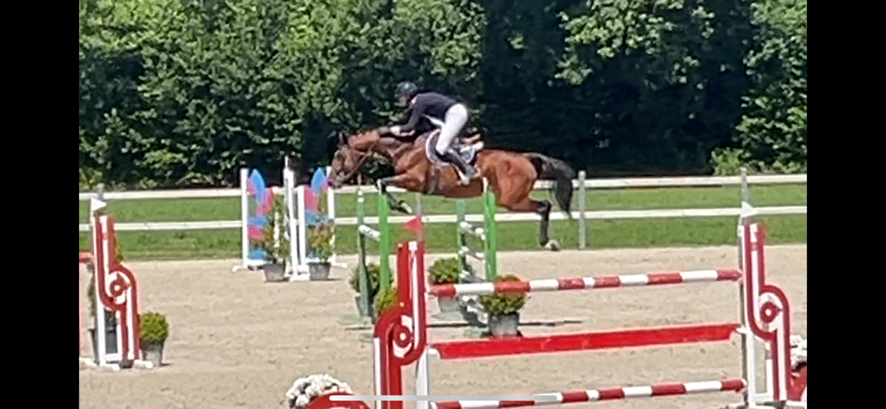 Apprentice - Apprentice Half time - Calvados France