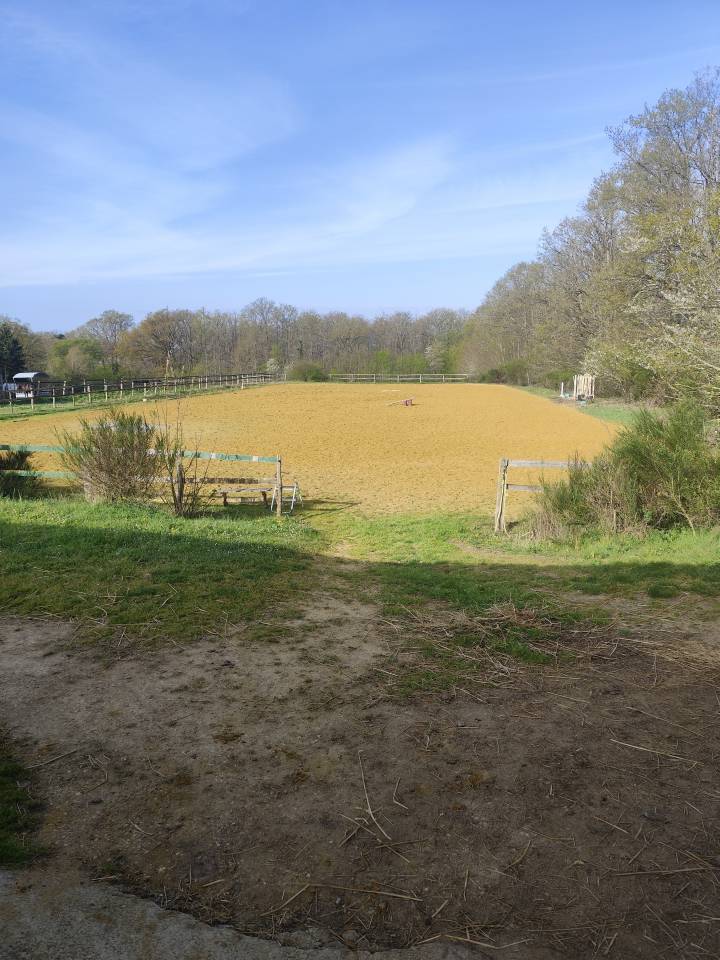 Livery yard  Loir-et-Cher