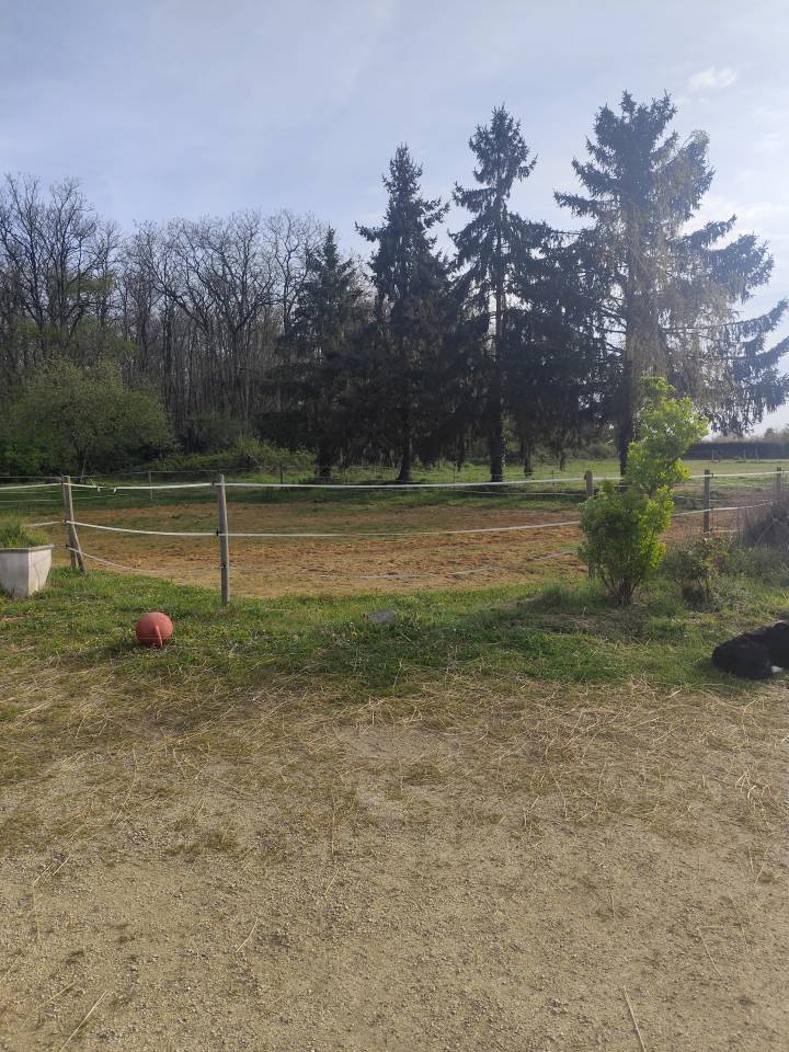 Livery yard  Loir-et-Cher