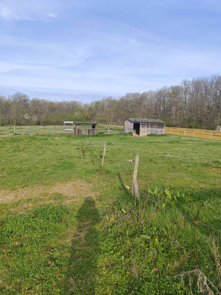 Livery yard  Loir-et-Cher