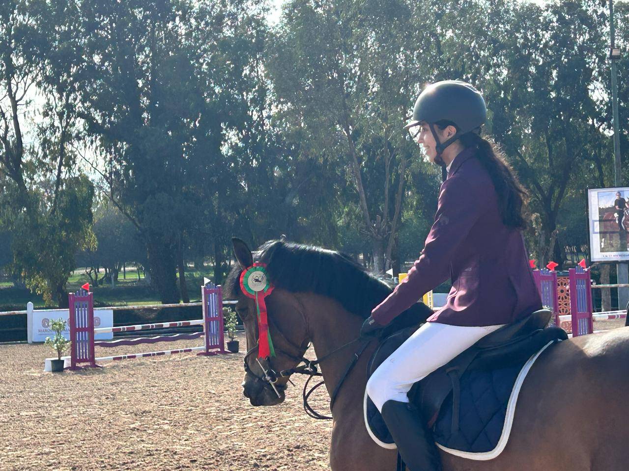 Mare Other Pony Breed For sale 2020 Bay