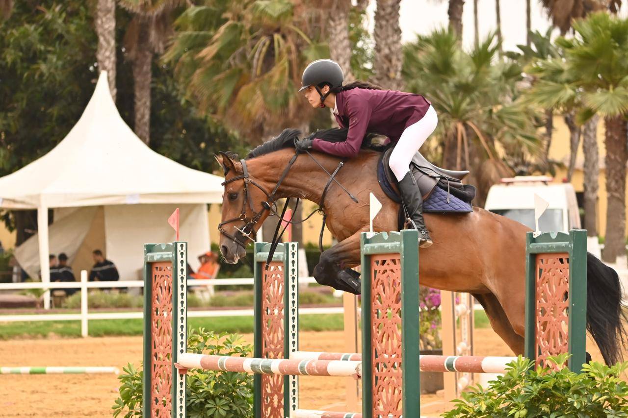 Mare Other Pony Breed For sale 2020 Bay