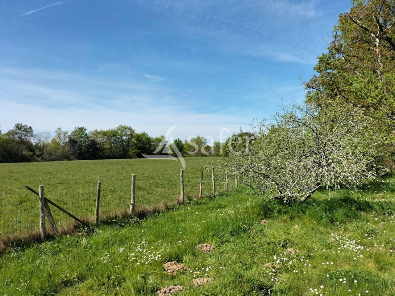 Other agricultural property  Vend&eacute;e