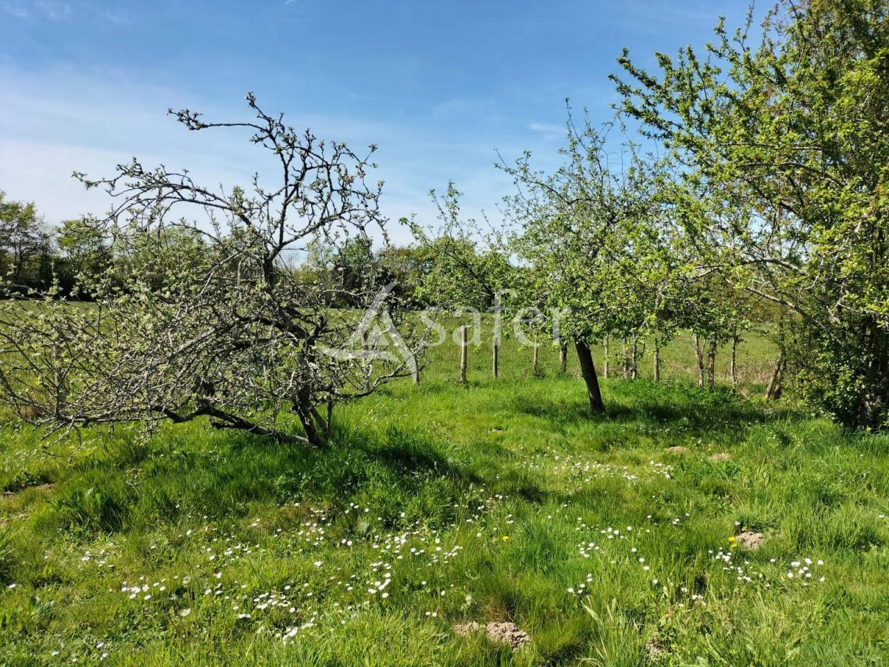 Other agricultural property  Vend&eacute;e