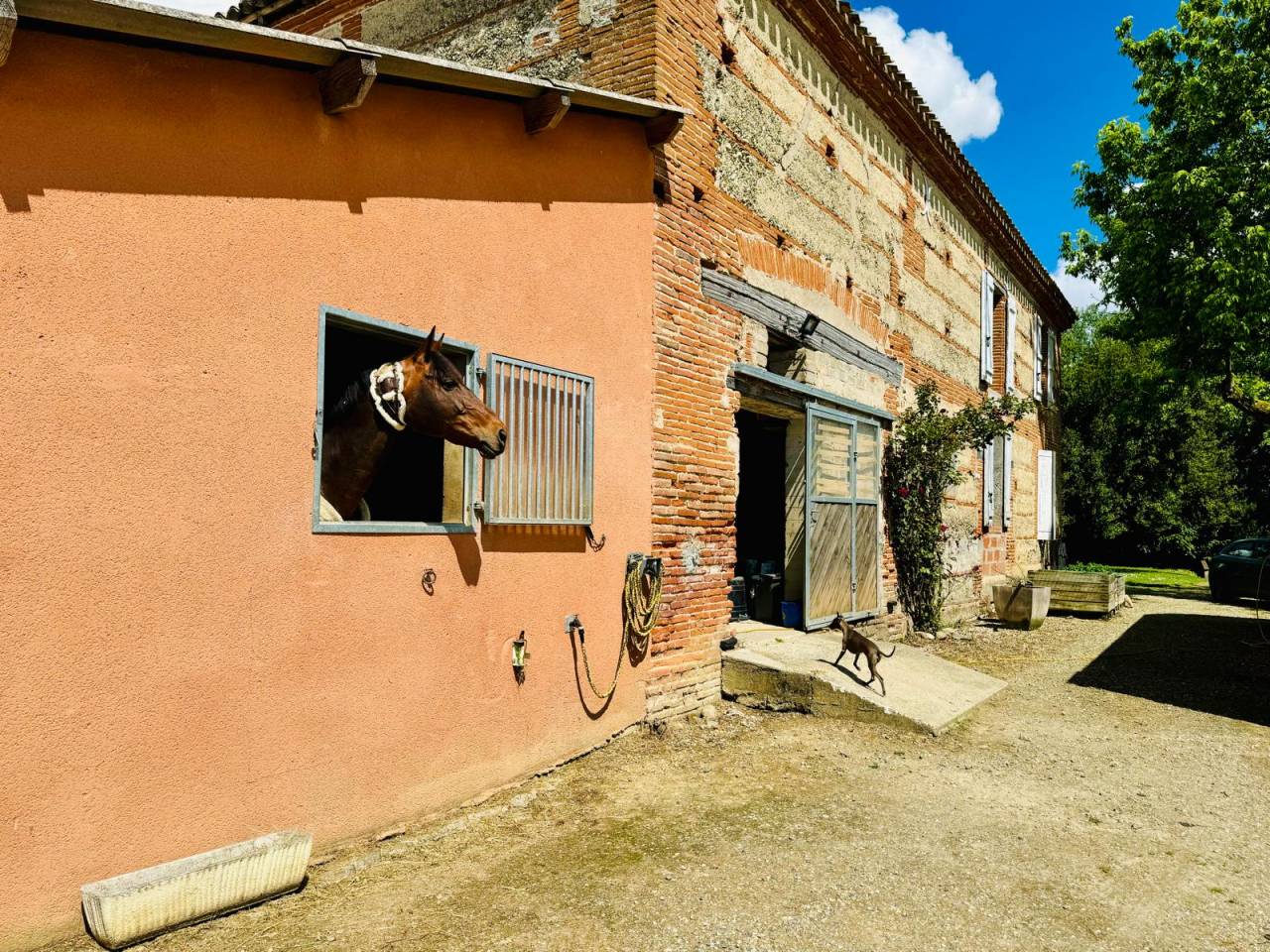 Equestrian property  Tarn-et-Taronne