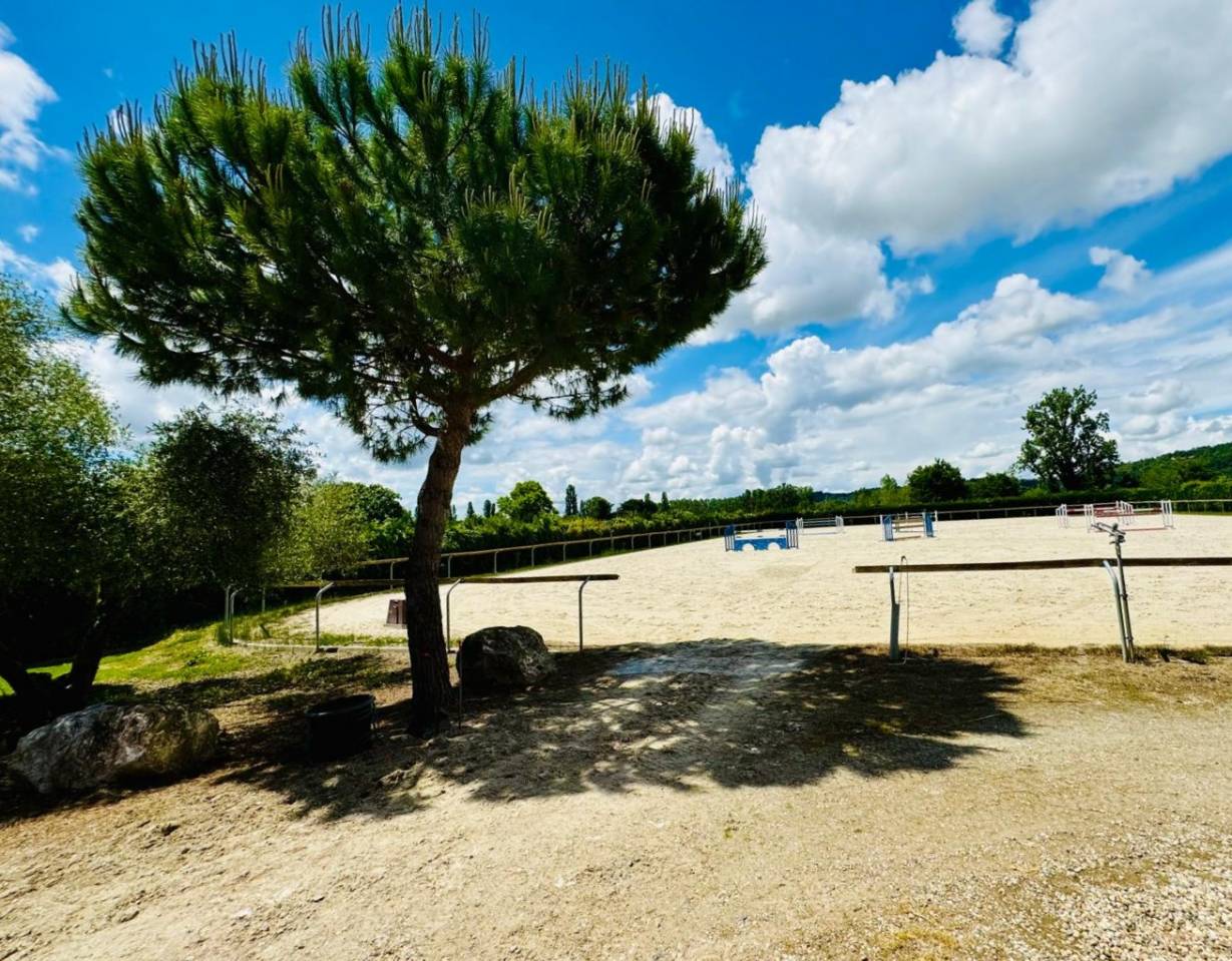 Equestrian property  Tarn-et-Taronne