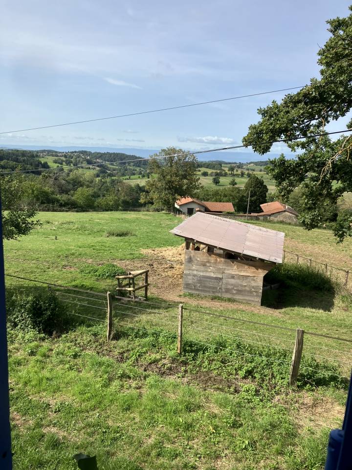 Equestrian farm  Rh&ocirc;ne