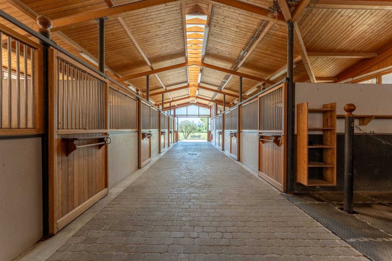 Luxurious equestrian property  Vaucluse
