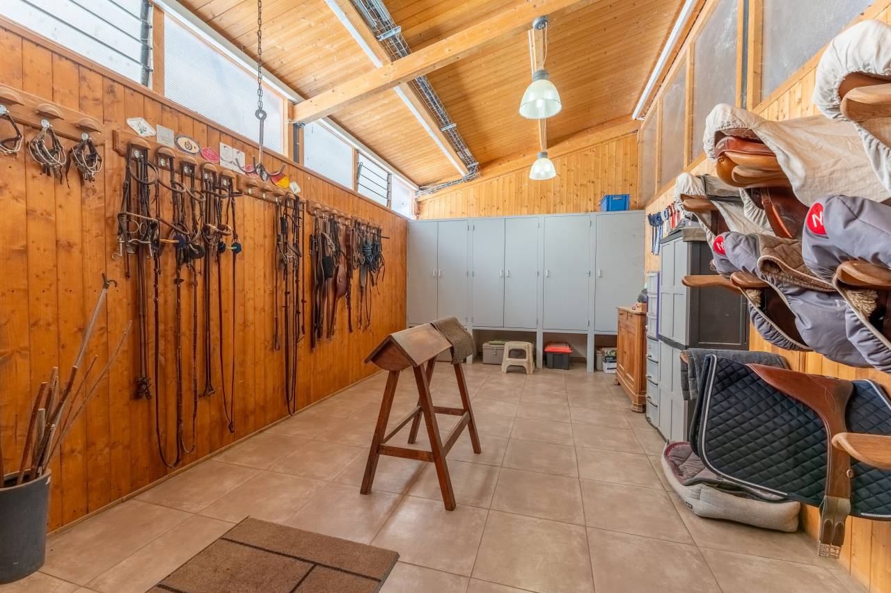 Luxurious equestrian property  Vaucluse