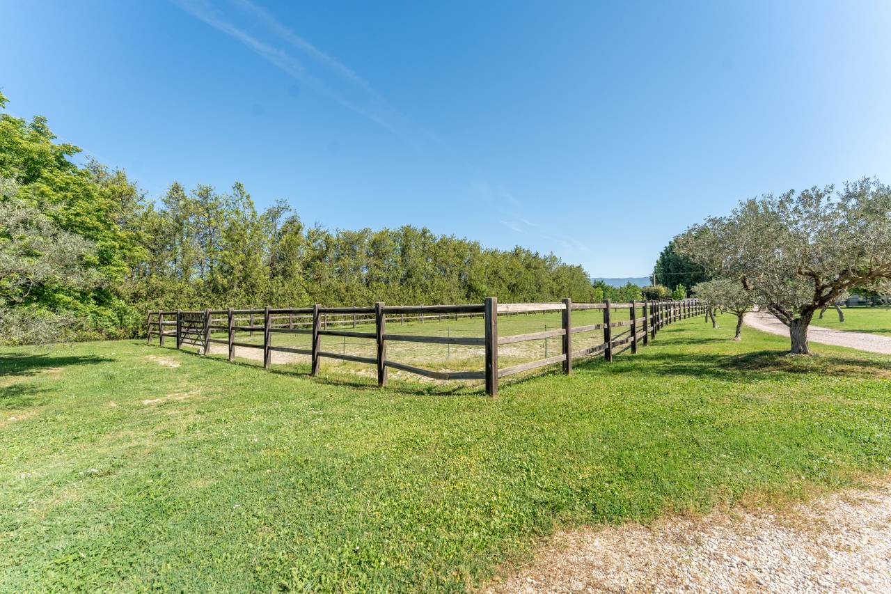 Luxurious equestrian property  Vaucluse