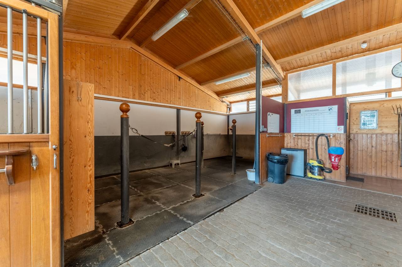 Luxurious equestrian property  Vaucluse