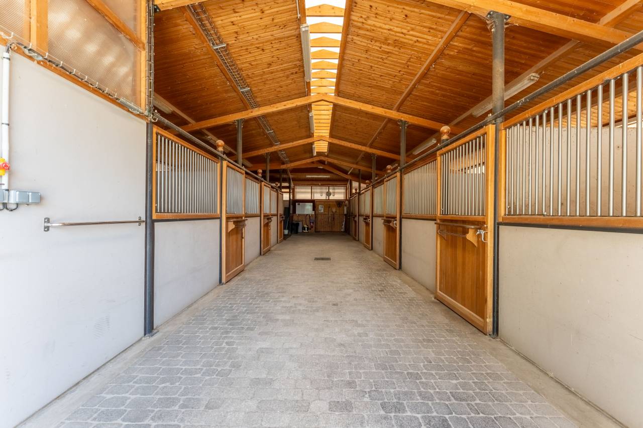 Luxurious equestrian property  Vaucluse