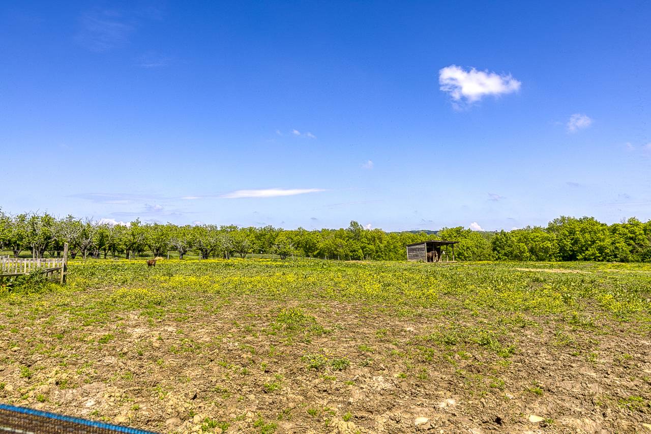 Equestrian property  Gers