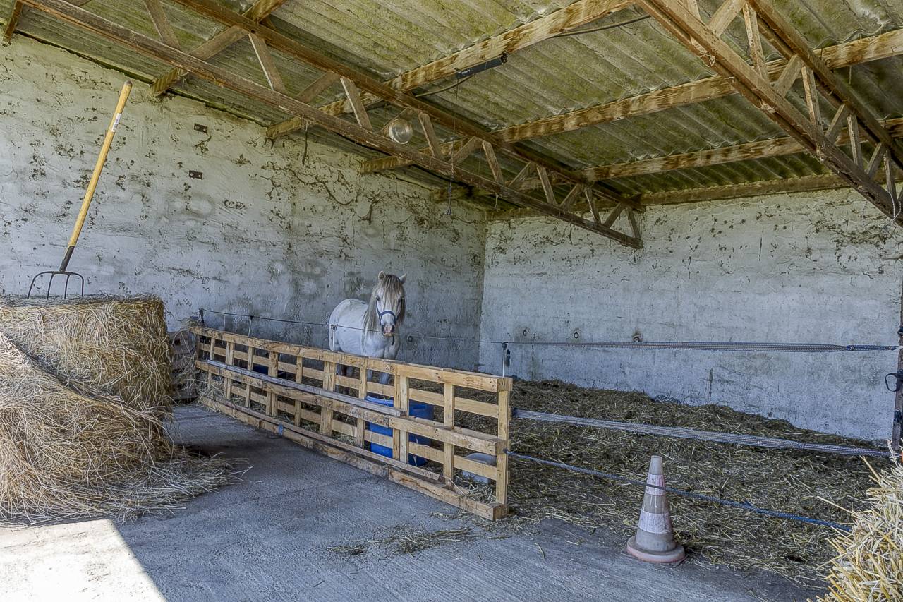 Equestrian property  Gers