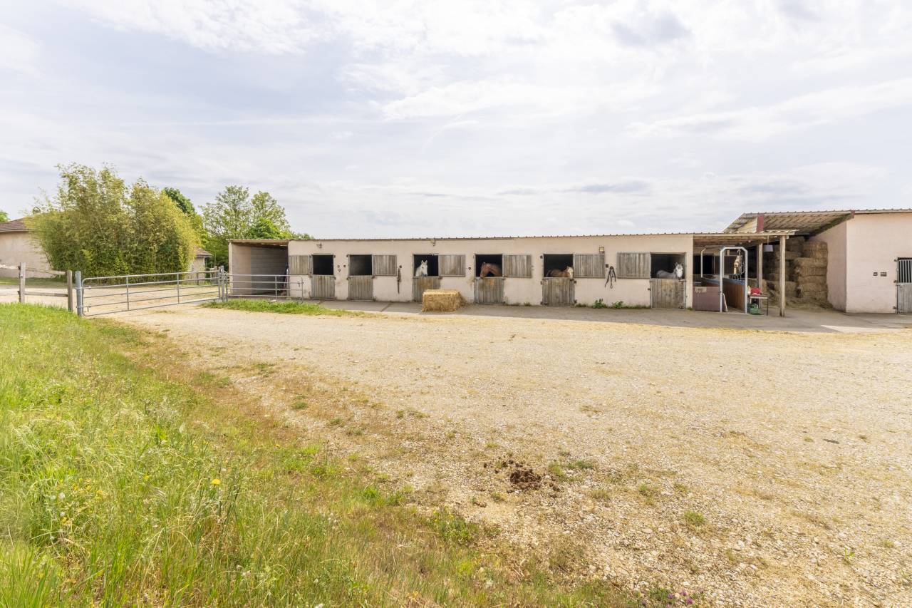 Stud farm  Dr&ocirc;me
