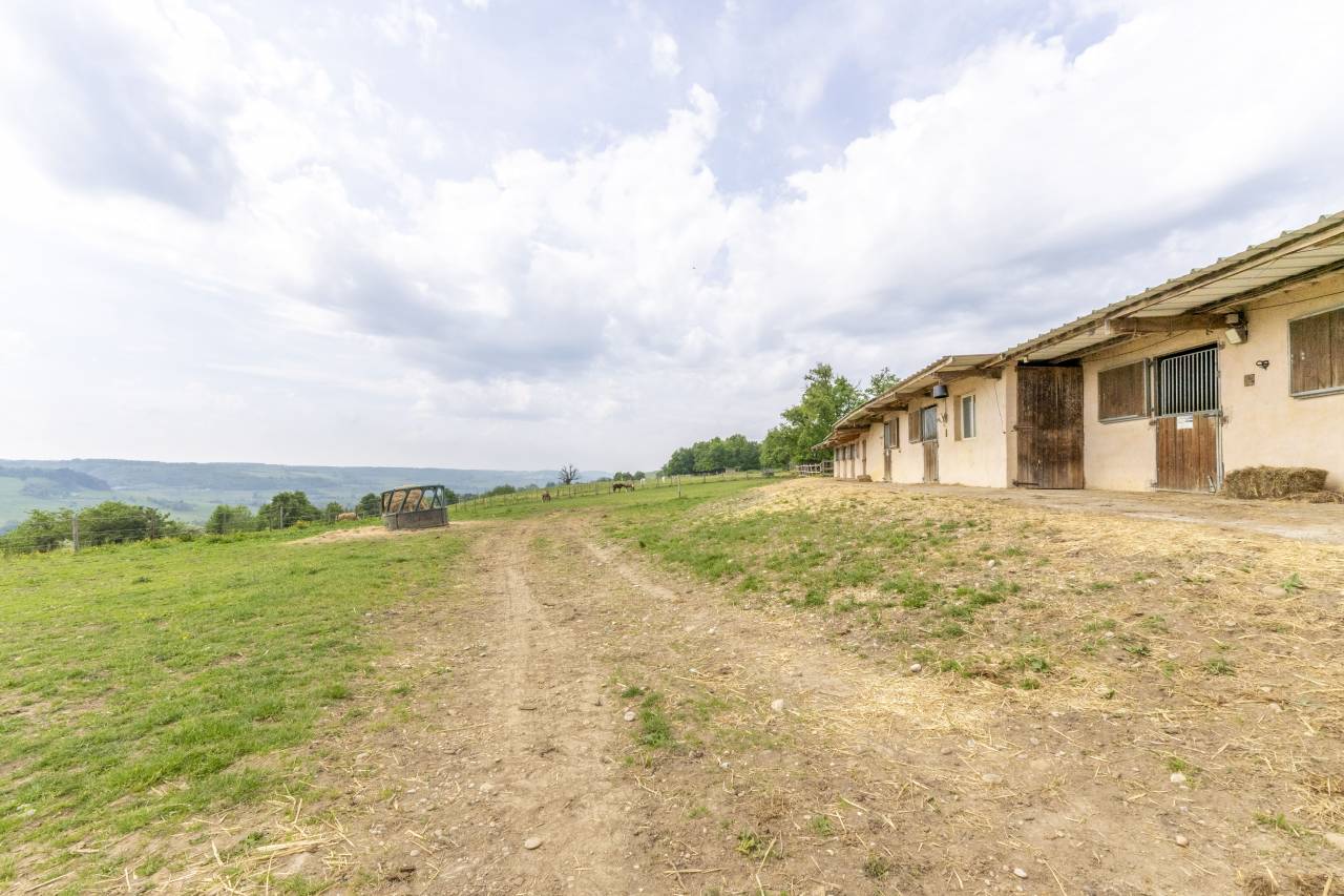Stud farm  Dr&ocirc;me