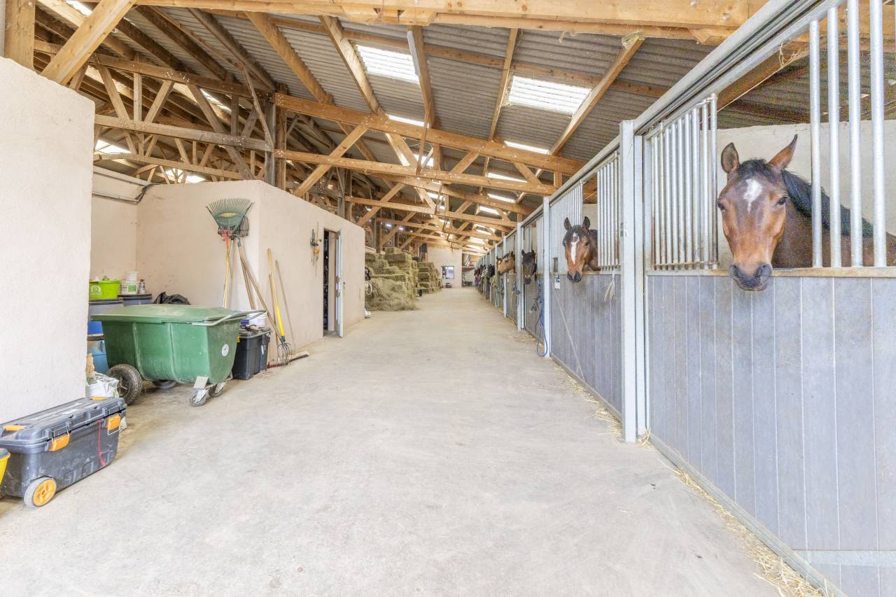 Stud farm  Dr&ocirc;me