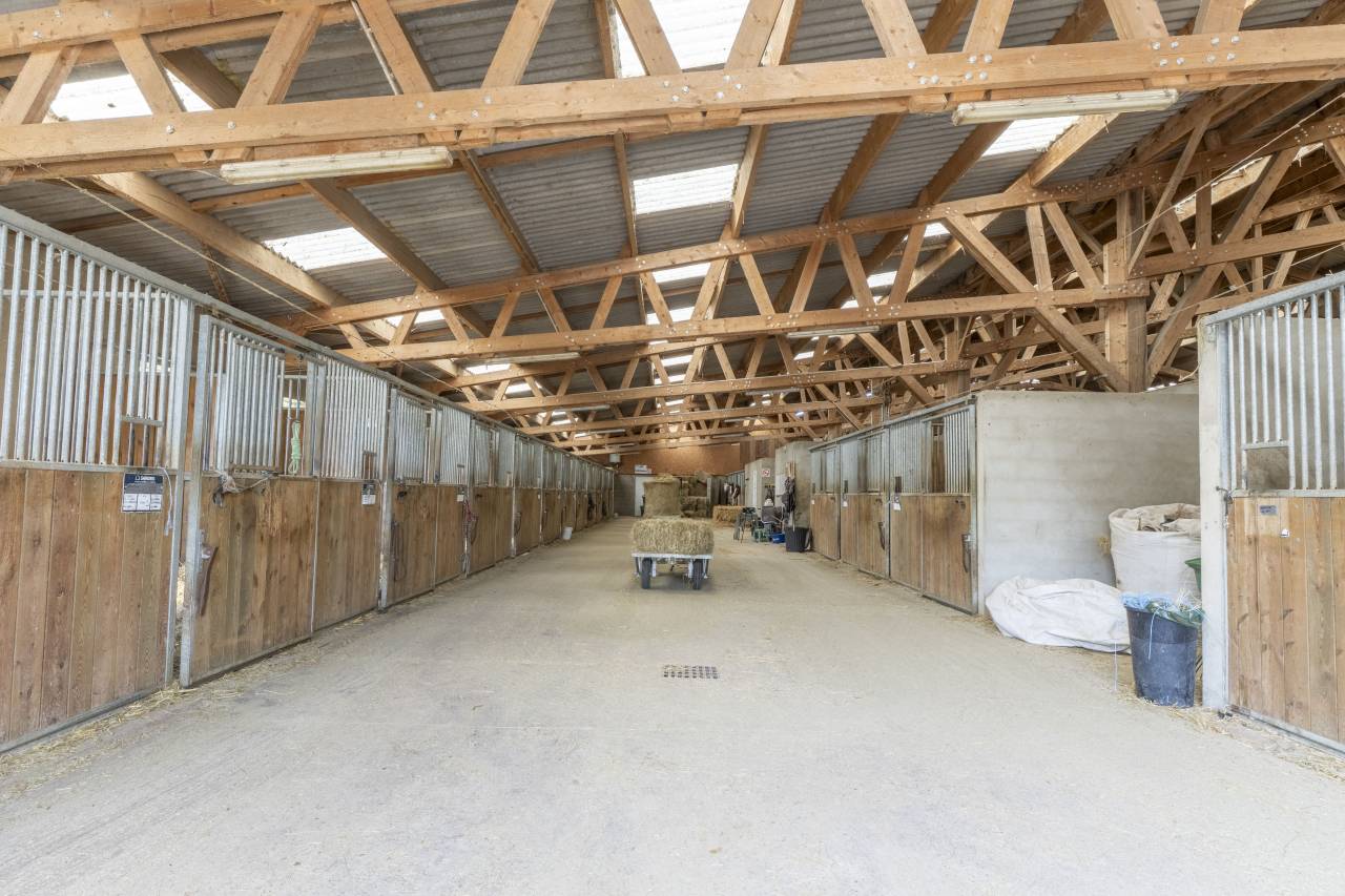 Stud farm  Dr&ocirc;me