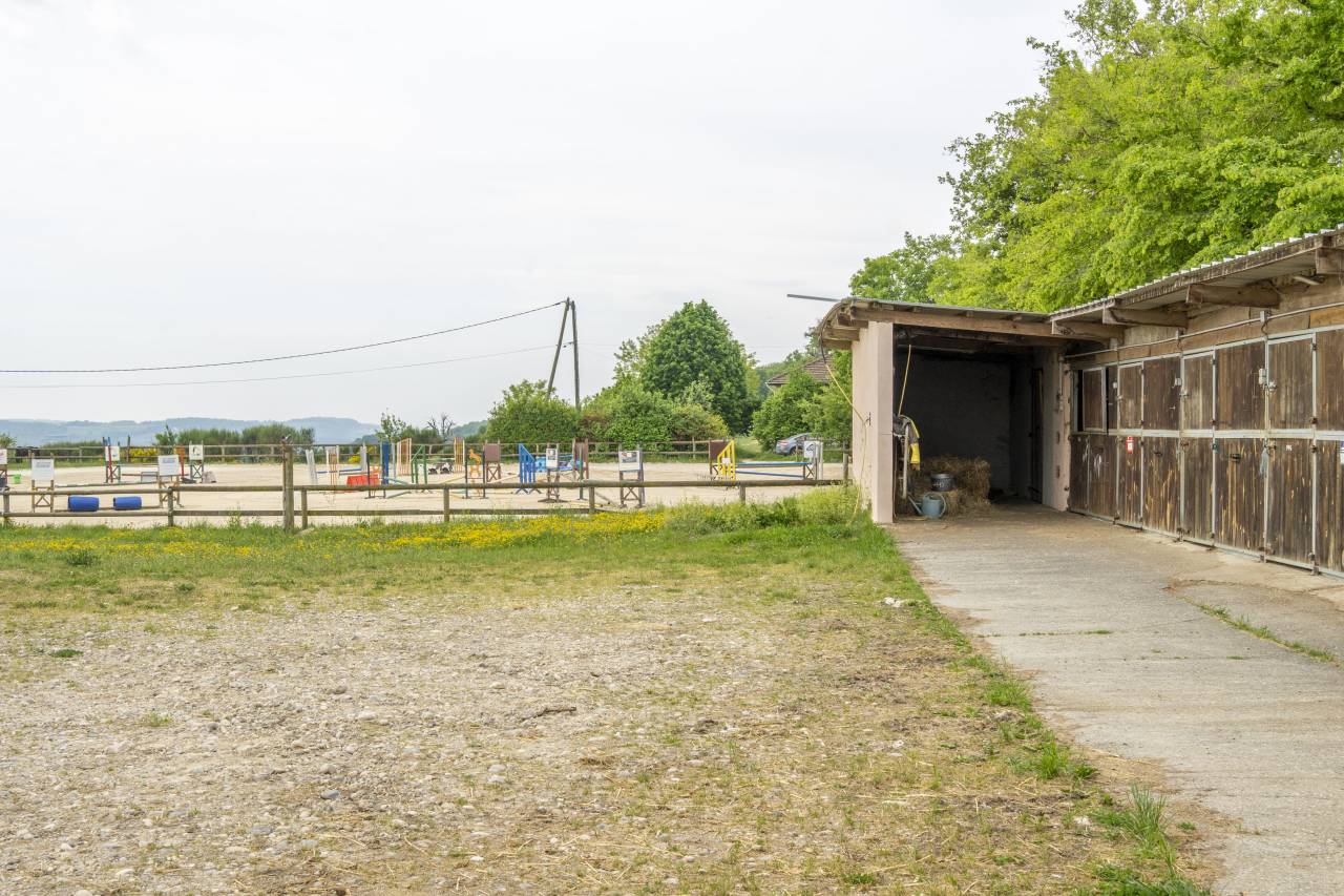 Stud farm  Dr&ocirc;me