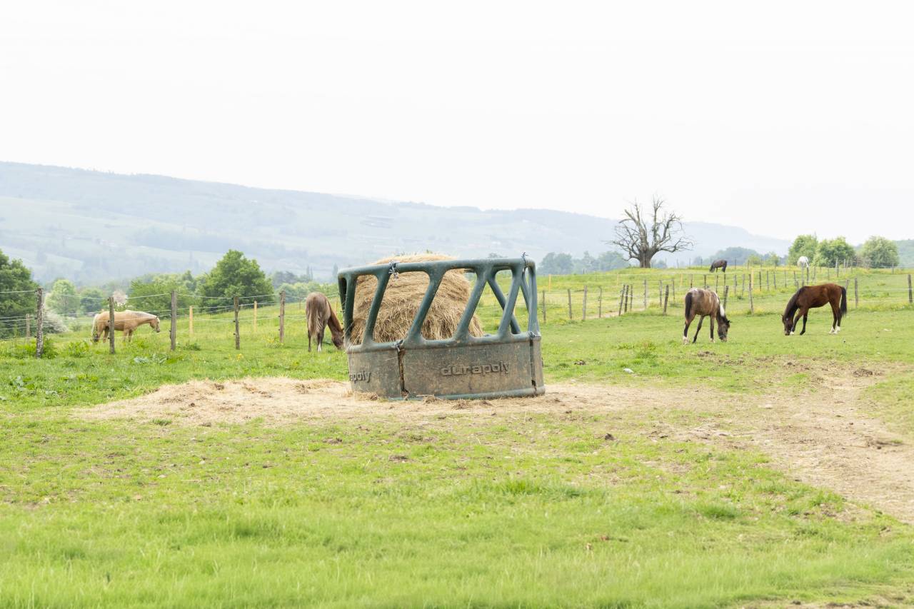 Stud farm  Dr&ocirc;me