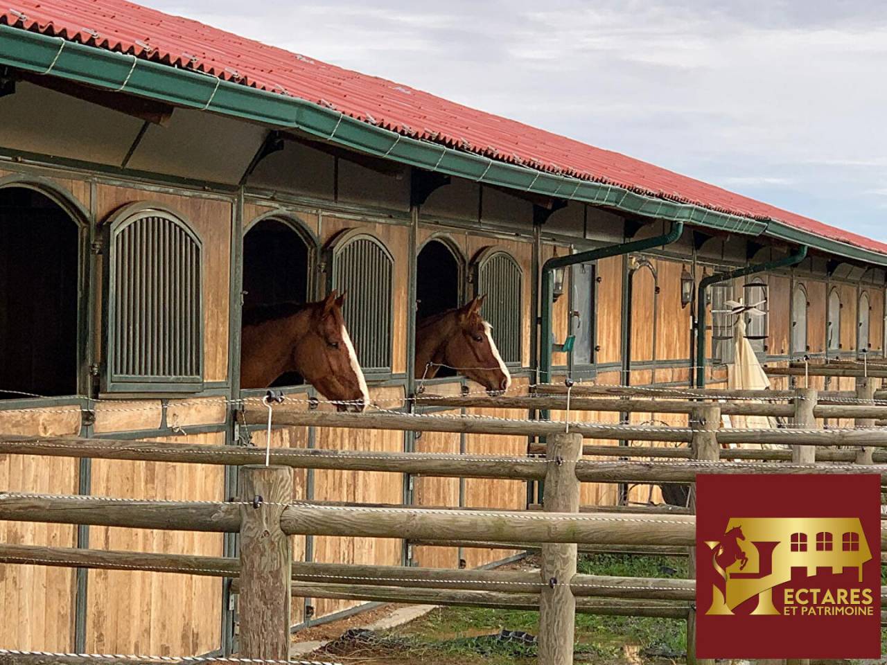 Stud farm  Haute-Garonne