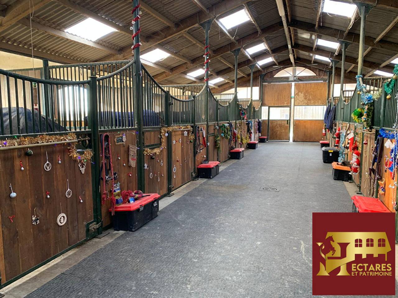 Stud farm  Haute-Garonne