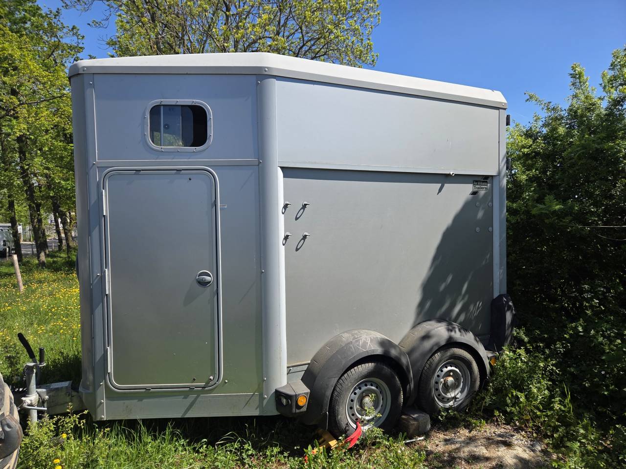 Horse trailer Ifor Williams Hb403 1,5 Stalls 2020 Used