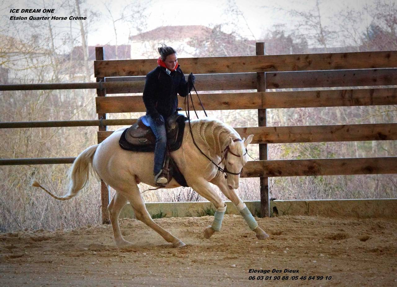 ICE DREAM ONE  - Quarter 2011 by MR TUFFEASY SMOKE