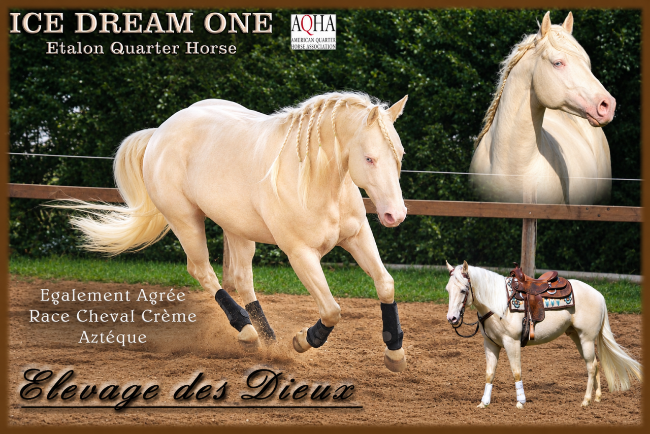 ICE DREAM ONE  - Quarter 2011 by MR TUFFEASY SMOKE
