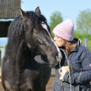 Amaeliane